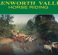 Glenworth Valley Horseriding - Accommodation Tasmania