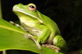 Port Douglas QLD Accommodation Tasmania