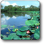 Kakadu National Park - Accommodation Tasmania 3