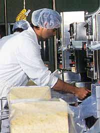 Allansford Cheese World - Accommodation Tasmania 1