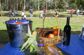 Buxton Trout And Salmon Farm - Accommodation Tasmania 2