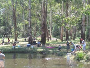 Buxton Trout And Salmon Farm - Accommodation Tasmania 3