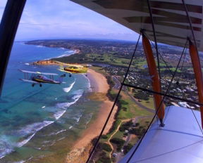 Tiger Moth World Adventure Park - Accommodation Tasmania 1
