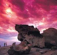 Kangaroo Island Adventure Tour 2 day/1 night - Accommodation Tasmania