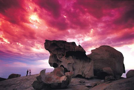 Kangaroo Island Adventure Tour 2 Day/1 Night - Accommodation Tasmania 0