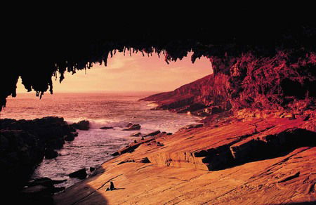 Kangaroo Island Adventure Tour 2 Day/1 Night - Accommodation Tasmania 2