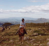 High Country Horses - Accommodation Tasmania