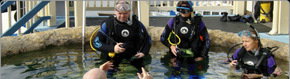 Scuba World - Accommodation Tasmania 2