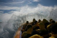 Jetboating Sydney - Accommodation Tasmania 1