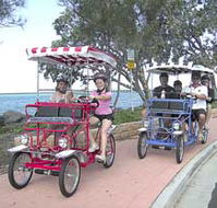 Beach Safaris - Accommodation Tasmania