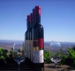 Mount Tamborine Winery  Homestead - Accommodation Tasmania
