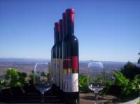 Mount Tamborine Winery & Homestead - Accommodation Tasmania 0