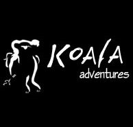 Koala Adventures - Accommodation Tasmania