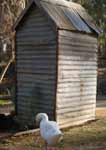 Wagga Wagga Zoo - Accommodation Tasmania 2