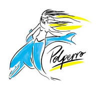 Polperro Dolphin Swims - Accommodation Tasmania 0