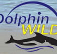 Dolphin Wild - Accommodation Tasmania