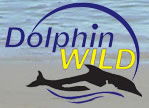 Dolphin Wild - Accommodation Tasmania 0