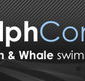 Dolphcom - Dolphin  Whale Swimming Adventures - Accommodation Tasmania