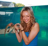 Crocosaurus Cove - Accommodation Tasmania