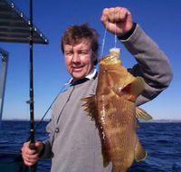 Downunder Charters - Accommodation Tasmania