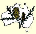 Australian National Botanic Gardens - Accommodation Tasmania