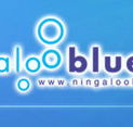 Ningaloo Blue Dive - Accommodation Tasmania