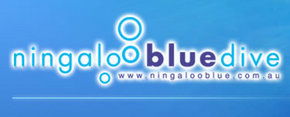 Ningaloo Blue Dive - Accommodation Tasmania 0
