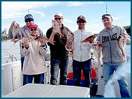 Odyssey Charters - Accommodation Tasmania 2