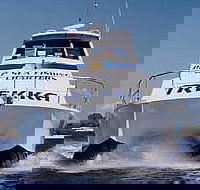 Sunshine Coast Fishing Charters - Accommodation Tasmania