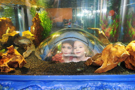 Scitech - Accommodation Tasmania 3