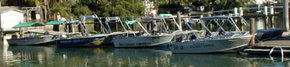 Brooklyn Central Boat Hire & General Store - Accommodation Tasmania 1