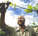 Barossa Experience Tours - Accommodation Tasmania