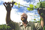 Barossa Experience Tours - Accommodation Tasmania 0