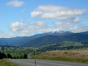 Buller View Wines - Accommodation Tasmania 2