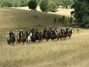 McCormacks Mountain Valley Trail Rides - Accommodation Tasmania