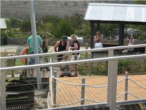  Accommodation Tasmania