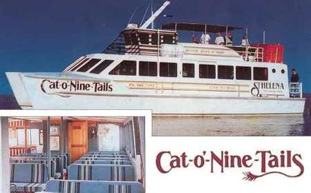 Cat O' NineTails - Accommodation Tasmania 1