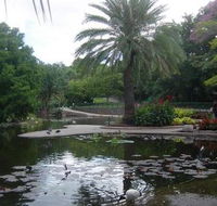 Brisbane City Botanic Gardens - Accommodation Tasmania