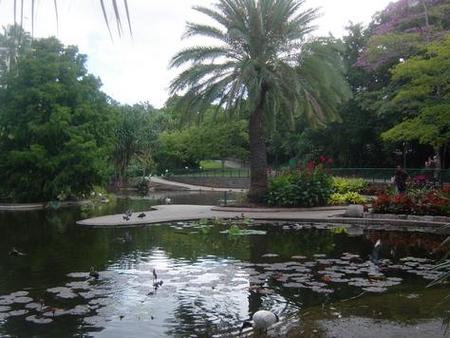 Brisbane City Botanic Gardens - Accommodation Tasmania 0