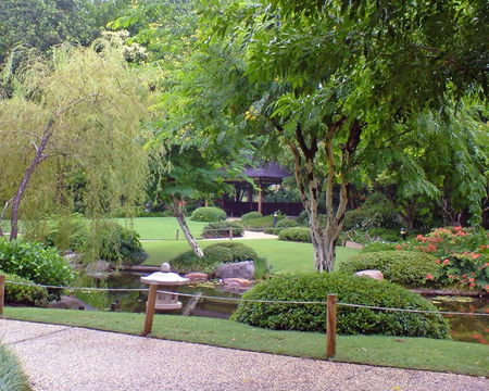 Brisbane City Botanic Gardens - Accommodation Tasmania 1