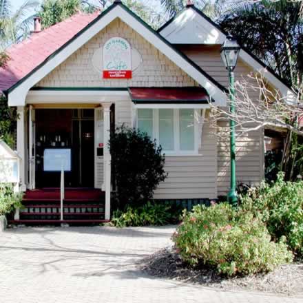 Brisbane City Botanic Gardens - Accommodation Tasmania 2