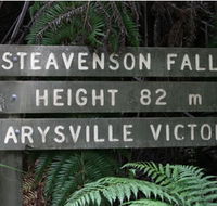 Stevensons Falls - Accommodation Tasmania