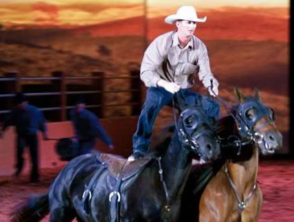 Australian Outback Spectacular - Accommodation Tasmania 1