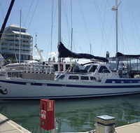 Coral Sea Dreaming Dive and Sail - Accommodation Tasmania