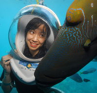 Sunlover Reef Cruises - Accommodation Tasmania
