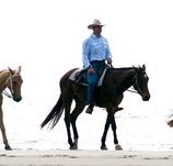 Ride the Beach - Accommodation Tasmania