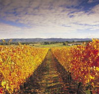 Link Tours - Accommodation Tasmania
