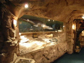 The National Opal Collection - Accommodation Tasmania 2