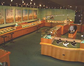 The National Opal Collection - Accommodation Tasmania 3