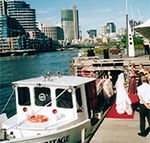 Bay  River Cruises - Accommodation Tasmania